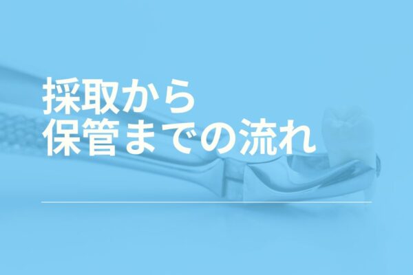 採取から保管までの流れ