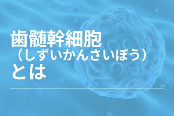 歯髄幹細胞（しずいかんさいぼう）とは