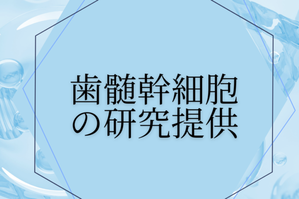 歯髄幹細胞の研究提供